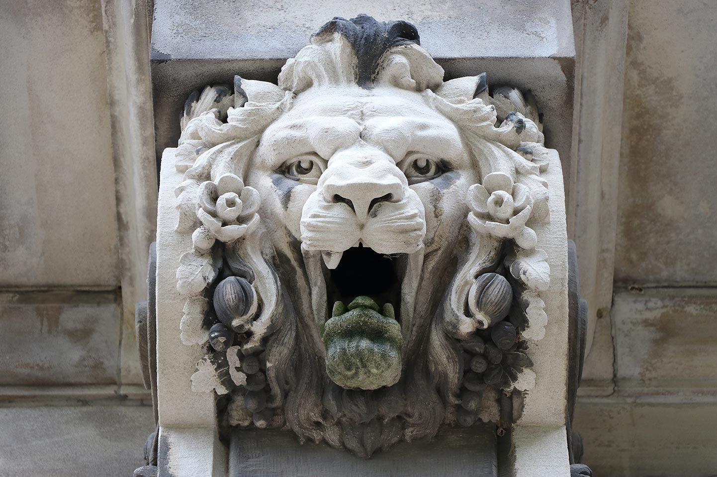 Detail view of a Lion Head decoration on Guerin Hall