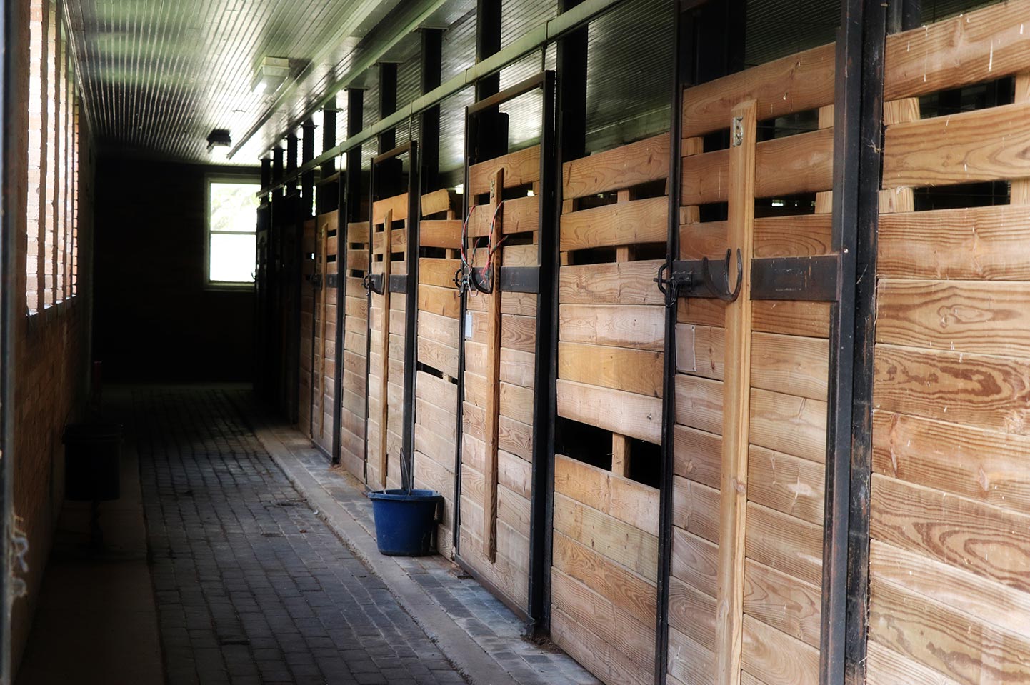 Interior view of the stable stalls